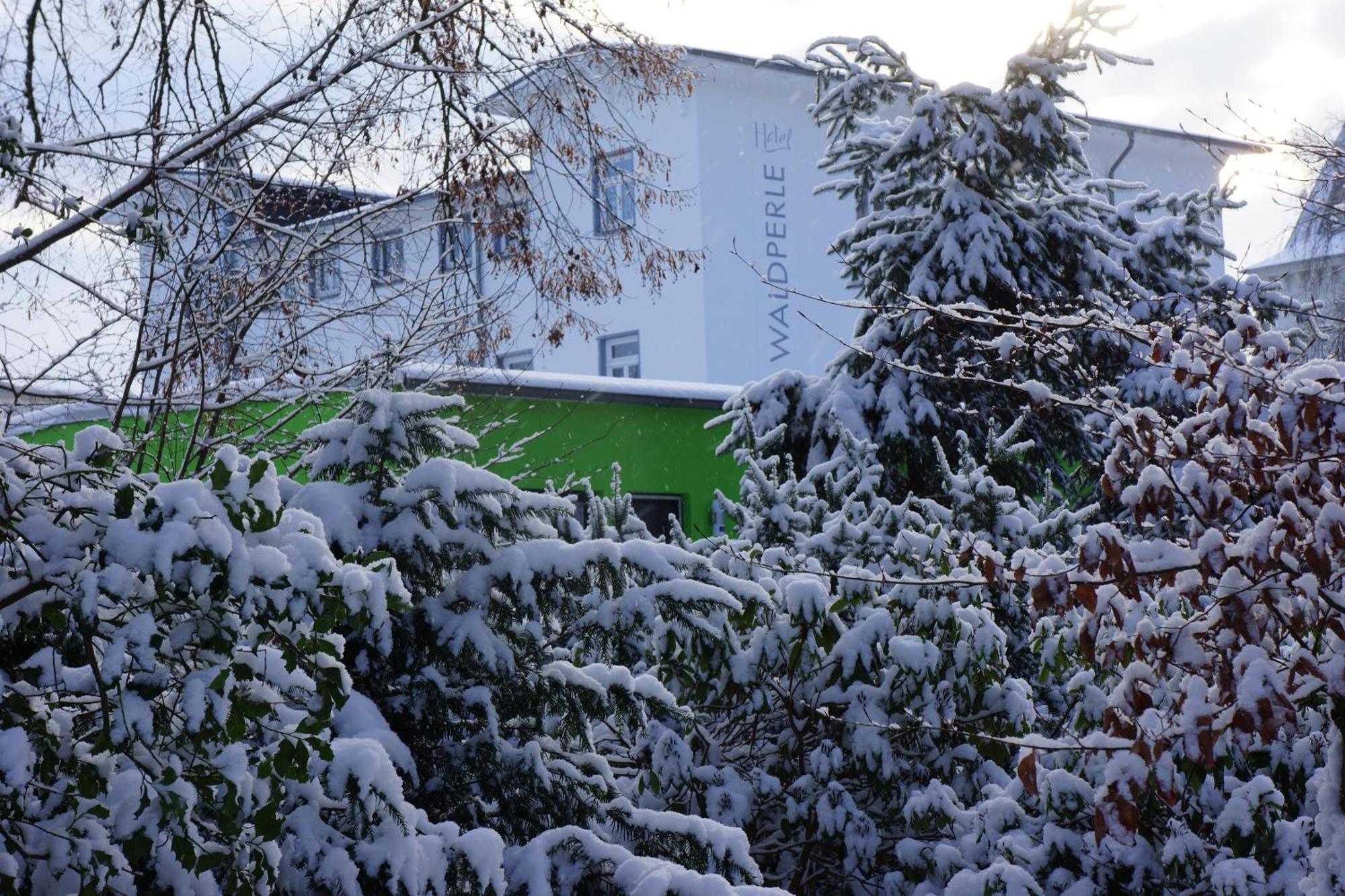 Hotel Waldperle Graal-Mueritz Εξωτερικό φωτογραφία