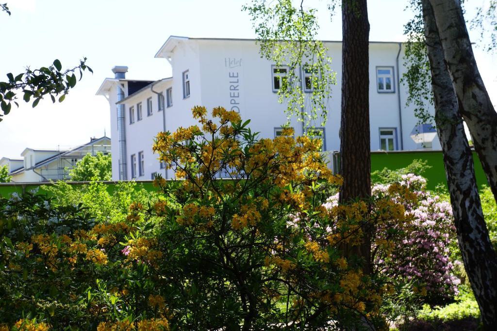 Hotel Waldperle Graal-Mueritz Εξωτερικό φωτογραφία