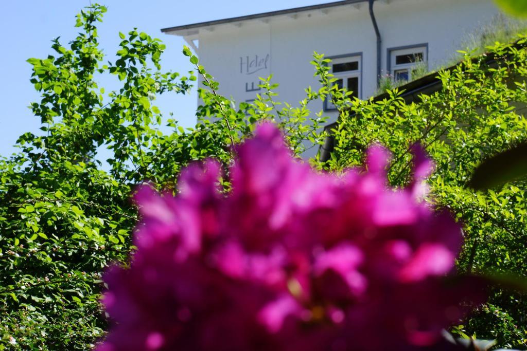 Hotel Waldperle Graal-Mueritz Εξωτερικό φωτογραφία