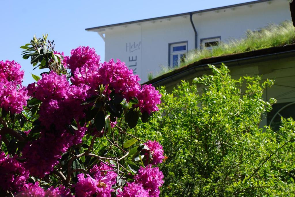 Hotel Waldperle Graal-Mueritz Εξωτερικό φωτογραφία